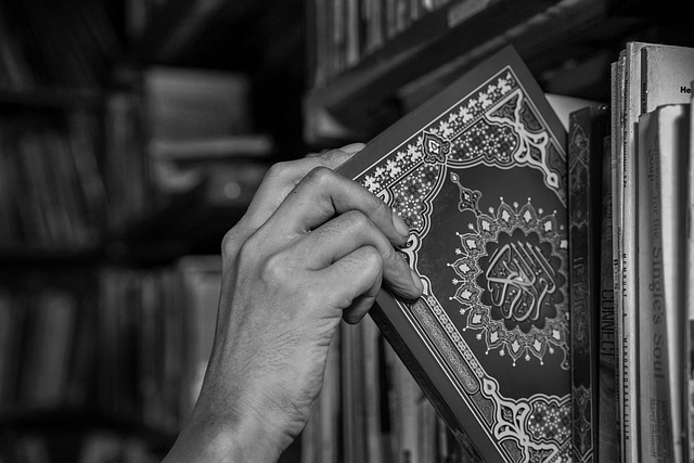 Islam and Environmental Care: A Muslim’s Duty to Protect Nature