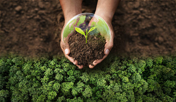 Islam and Environmental Protection: A Divine Responsibility Toward the Earth